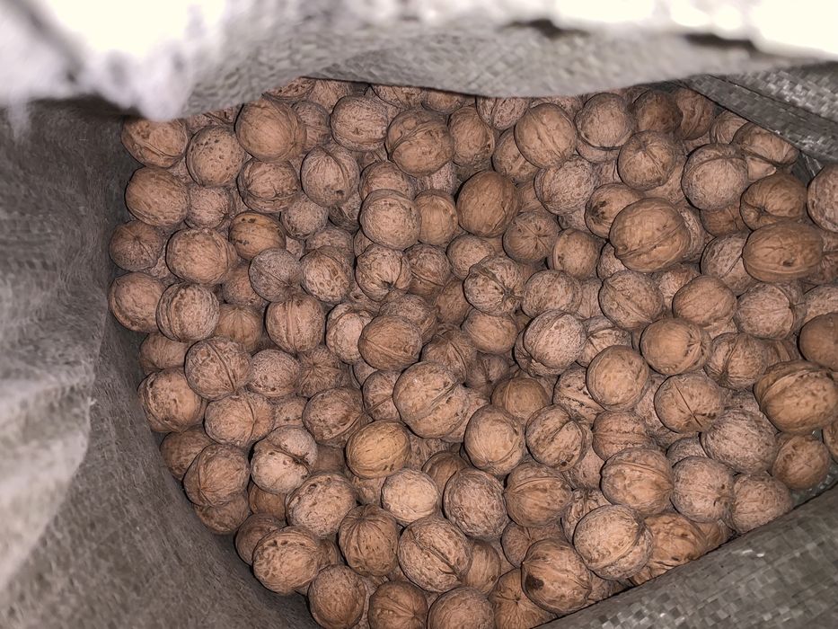 Орехи очень хорошего качества