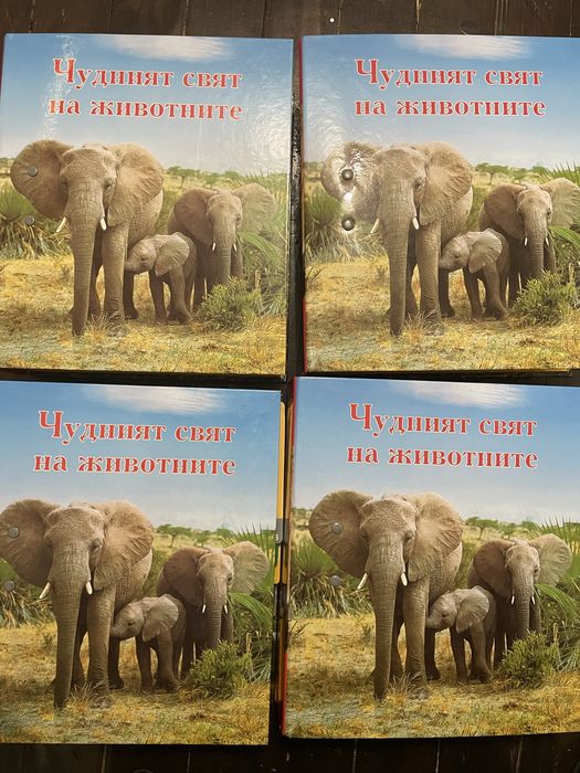 Чудният свят на животните енциклопедия с карти