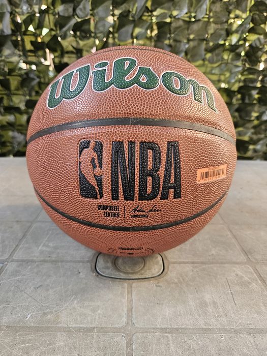 Minge basket Wilson nba