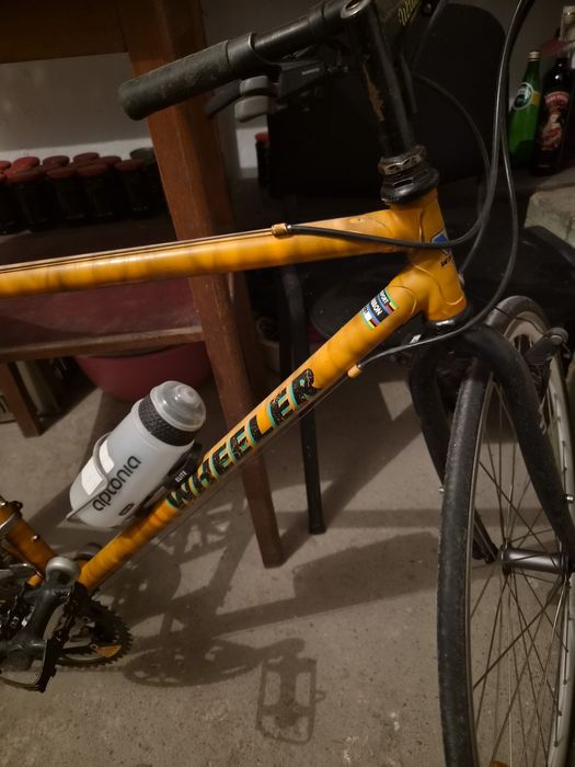 Biciclete vintage