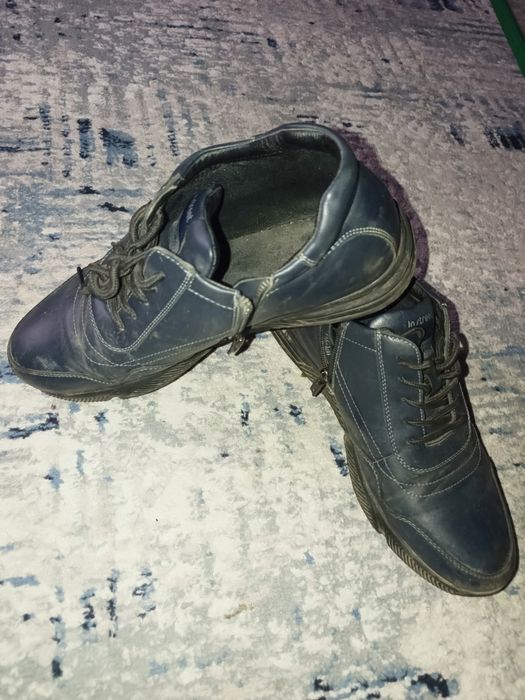 Красовка мужской