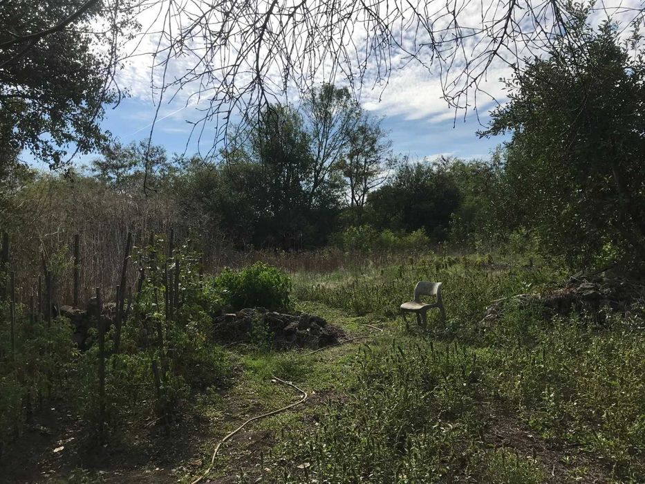 Продава се Къща в с. Хаджи Димитър, Област Добрич - 70 кв.м за 306 €/кв.м - Снимка #8