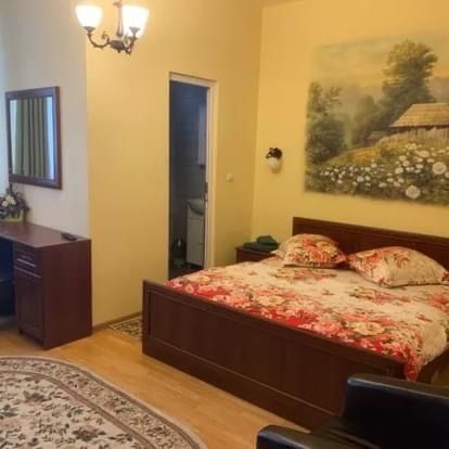 Pensiune 11 camere disponibila pt Revelion 2026