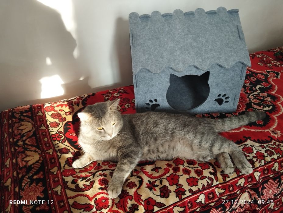 Продается кошачий домик