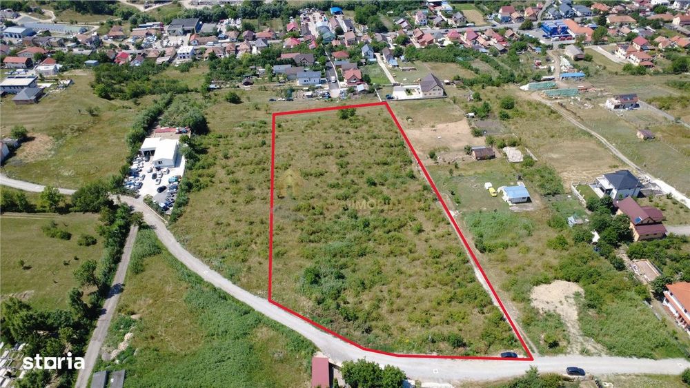 Teren Extravilan  16758 Mp Parcelabil  Strada Pomet Iris