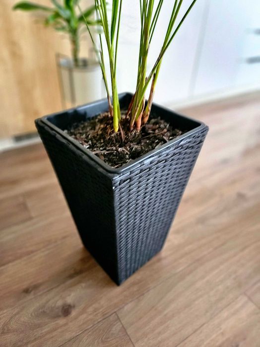 Ghiveci KUBB 30x30x50 cm - pentru interior / terasă