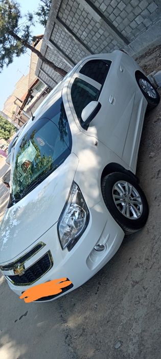 2023/2024  COBALT LTZ