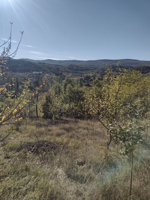 Продава се Парцел в с. Ковачевци, Област Перник - 1000 кв.м за 20 €/кв.м - Снимка #1