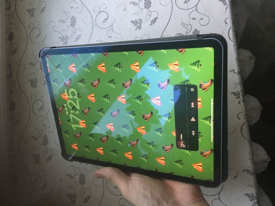 Ipad Pro 11 2-inch 128gb 87% akb