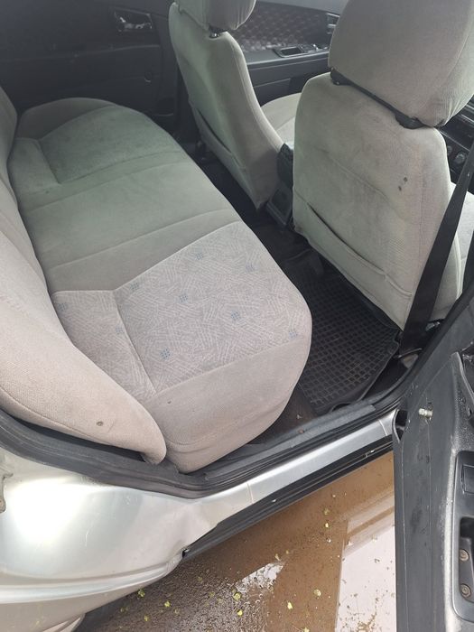 Продам быка алатаской породы