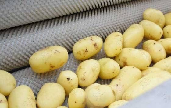 Машина белене на Картофи Моркови Джинджифил