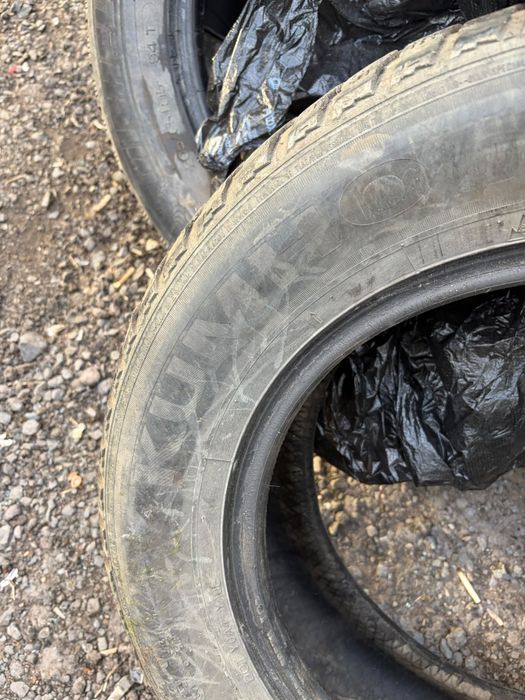 Продам шины michelin