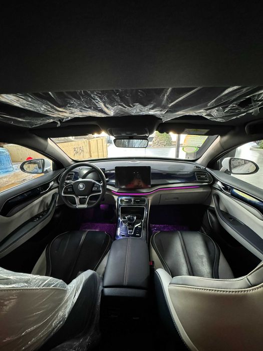 BYD QIN plus champion edition