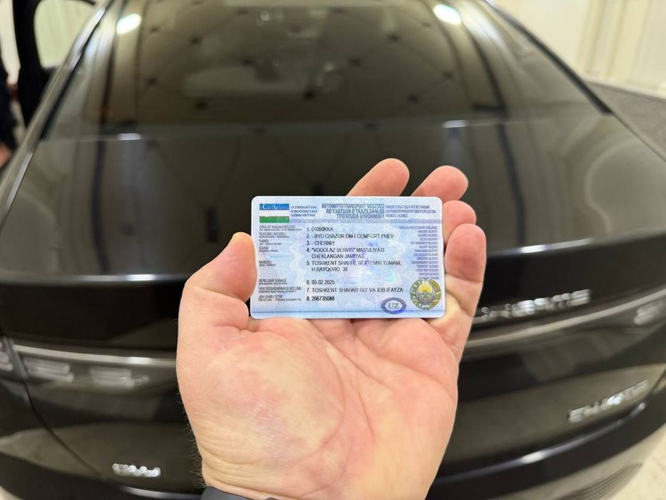 BYD Chazor 2023 — 5