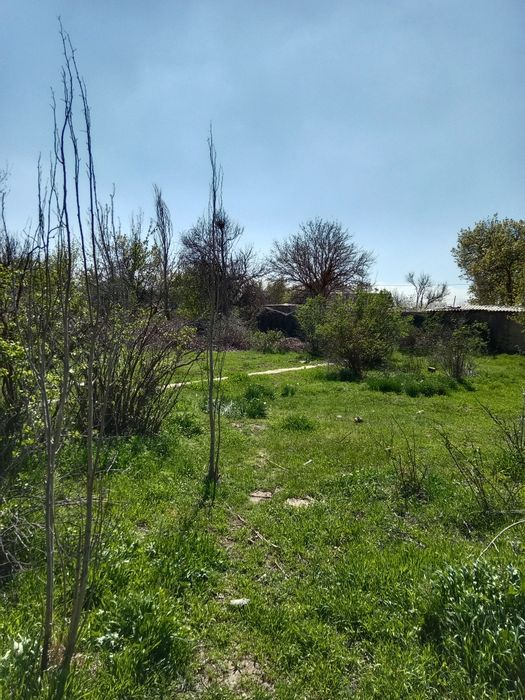 Продам дачу в Айша биби