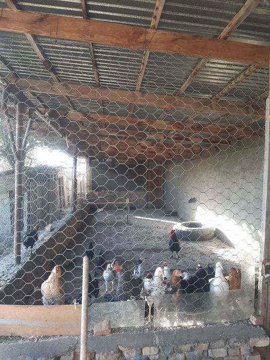 Продам дом в ст Бадам