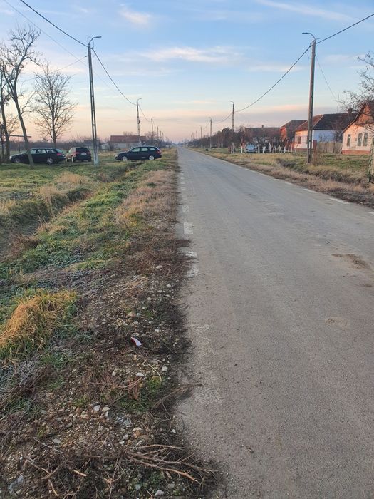 Vând teren intravilan 1.100 mp în Cenad județul Timiş 8 € / mp

Timiş