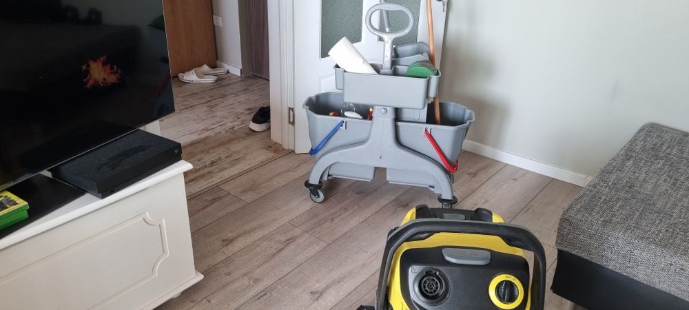 Servicii profesionale de curățenie