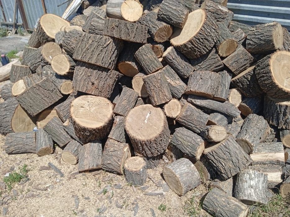 Продам сухие дрова карагач