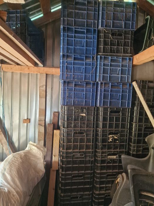 Lazi plastic depozitare legume fructe struguri