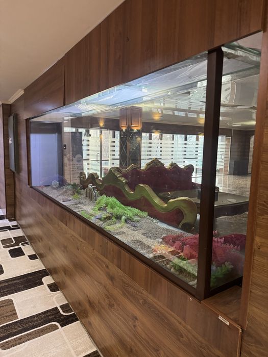 Аквариум продам срочно