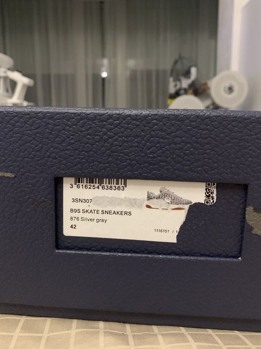 Dior B9s silver skate