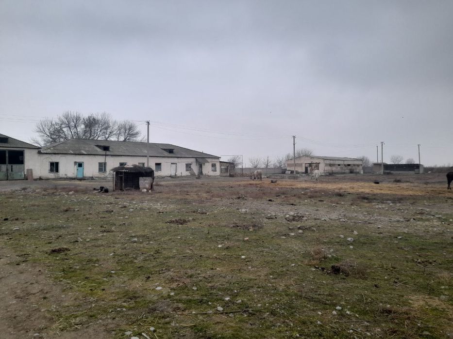 Срочно !!! Продам ферму 9,3 га. Гулистан