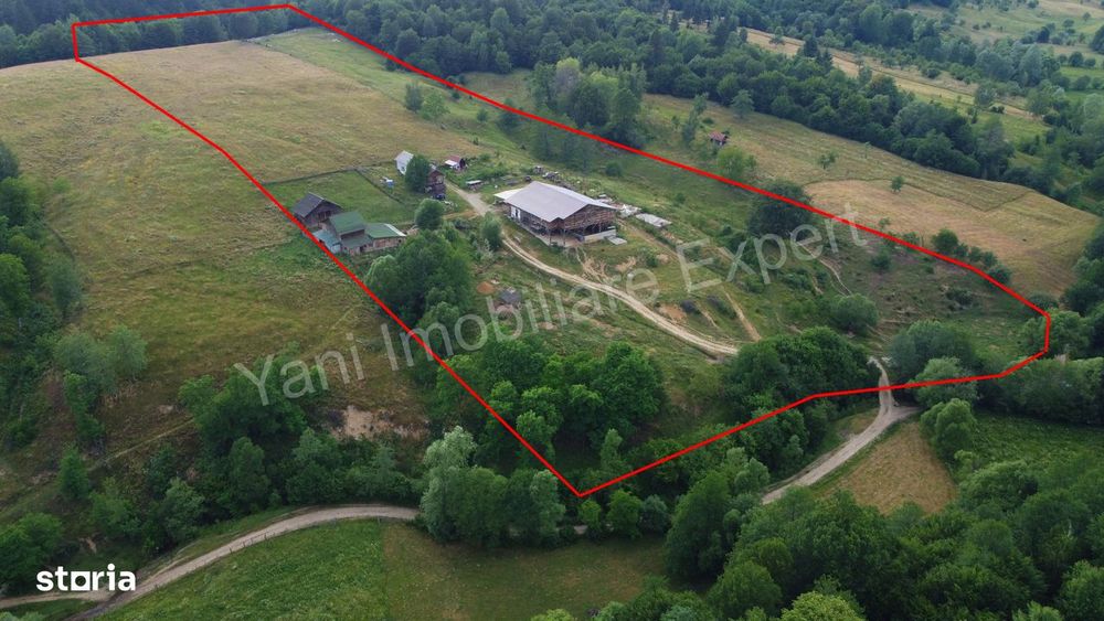Fermă de animale + teren de vânzare în comuna Bughea de Jos, Argeș.