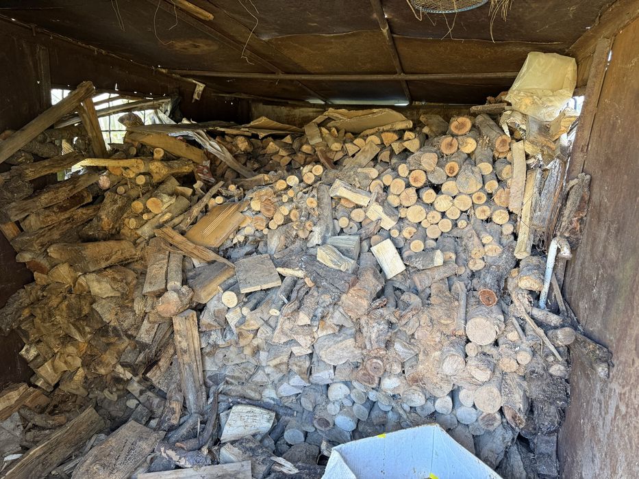 Vand lemne foc uscate