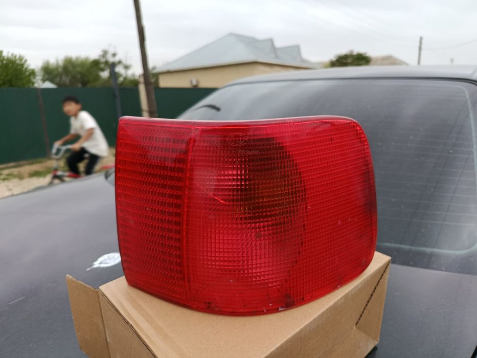 Задние паваротник