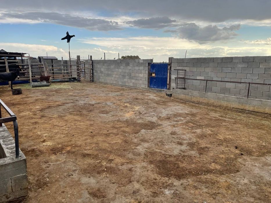 Фазенда / Ферма / КХ / Мал шаруашылығы / Откорм