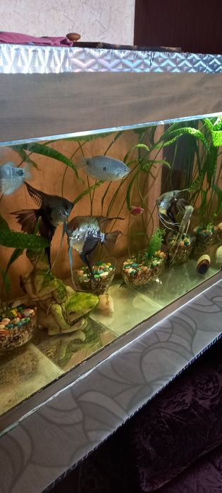 Аквариум 160 литров вместе со всем оборудованием