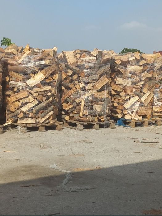 Lemne de foc Oferta Reduceri