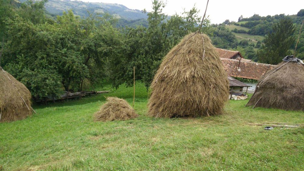 Vand fan vrac - Poiana Marului, Brasov