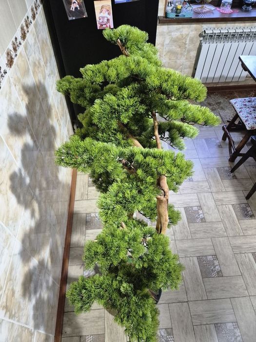 Бонсай ручная работа