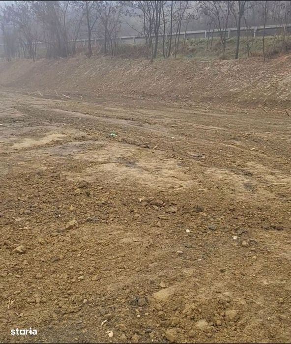 Teren Extravilan | 3700 Mp | Utilitati In Zona | Investitie Cu Potenti