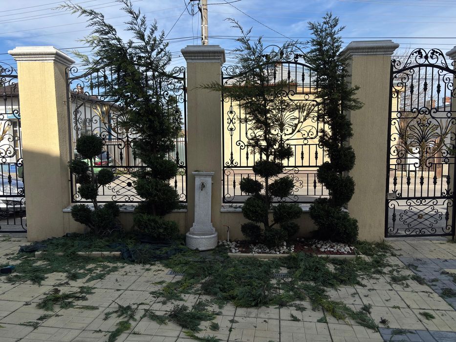 Gradina de care ai nevoie asteapta telefonul tau!!