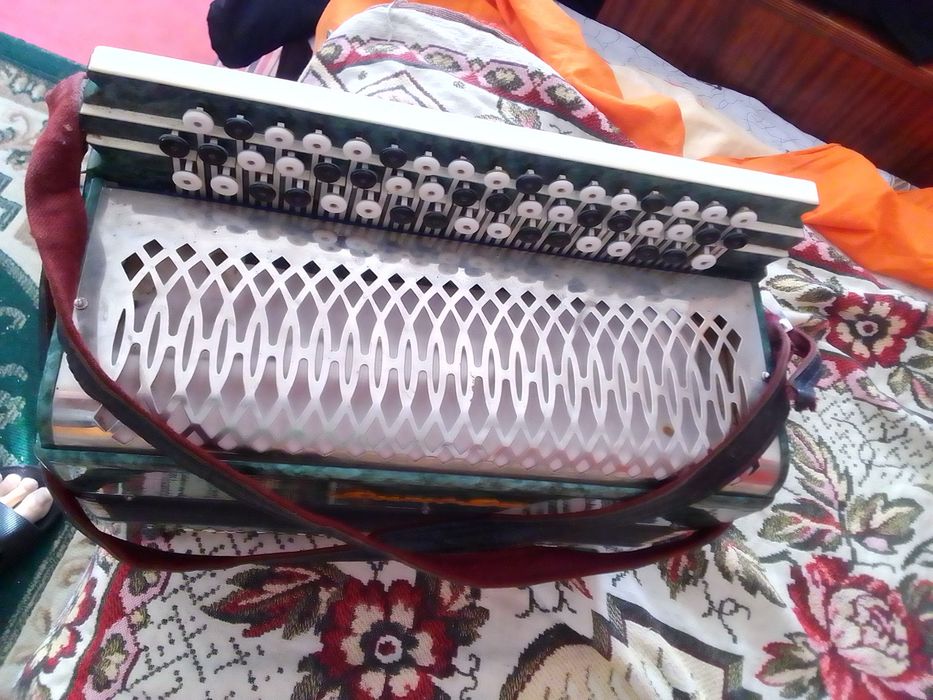 Баян ростов Дон.гитара Советского производства