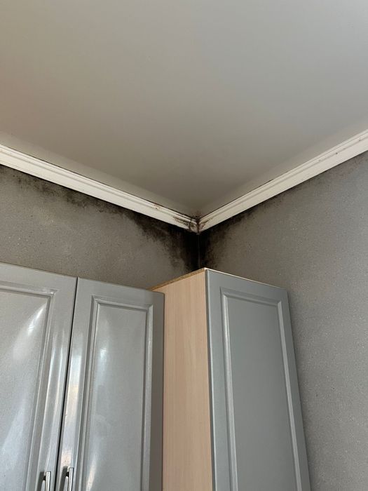 Вентиляция: Рекуператор, Бризер, Вентилятор