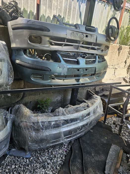 Мини морды ноускат