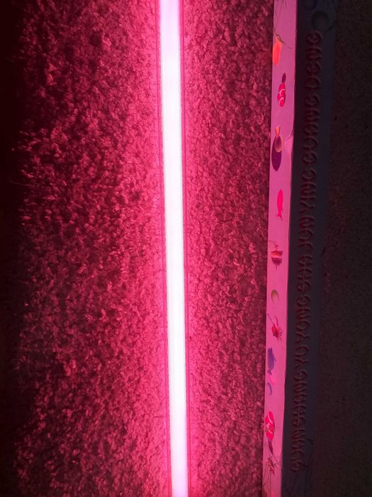 лампа для аквариума с рыбками