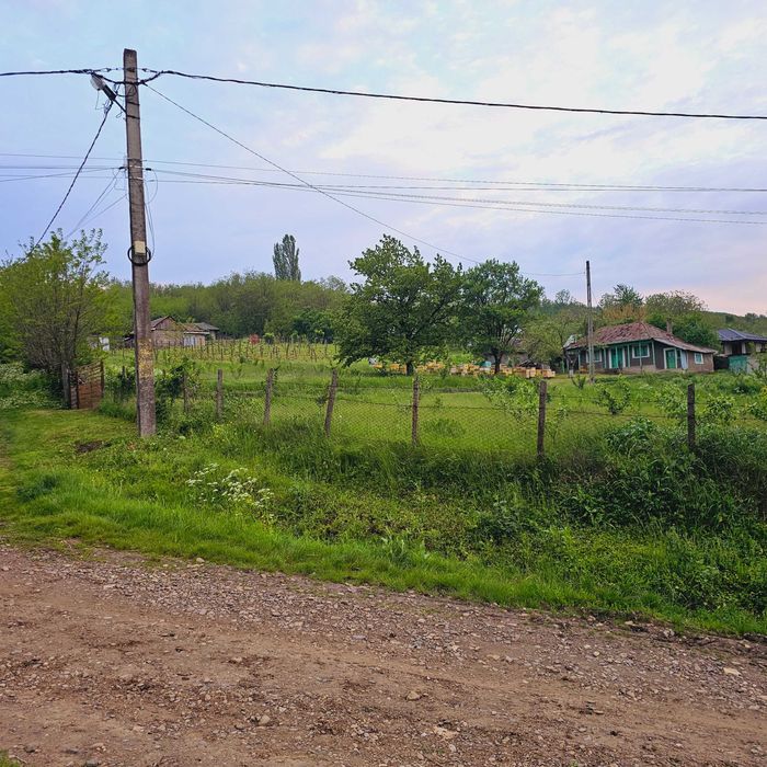 Particular Vând Casa + teren generos 5000 mp intravilan cu livada tanara  si vita de vie productiva.