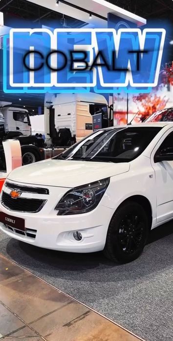 Coblt Midnicht ‼️ Srochna‼️26