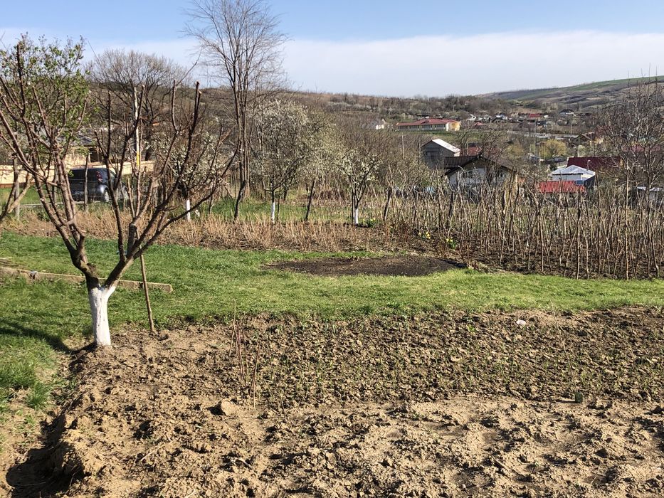 Teren Miroslava-Sat Vorovesti(gaz-curent-asfalt-apa)-INTRAVILAN-