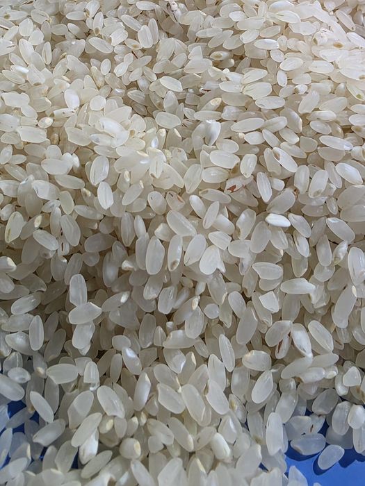 Қызылорда лық күріш, рис, курыш