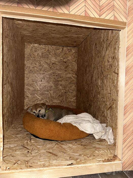 Домик для собаки