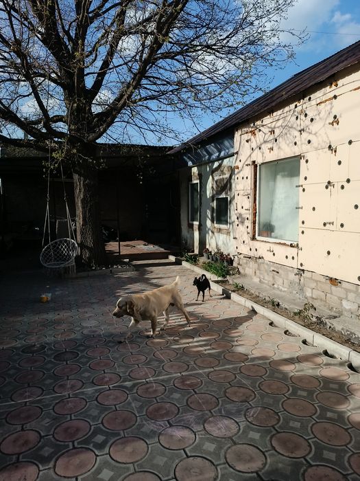 Продам частный дом