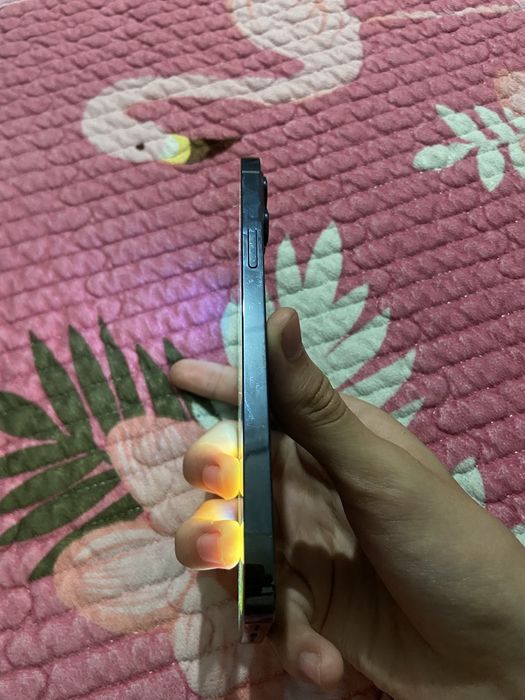 iphone 12 pro max ios 16