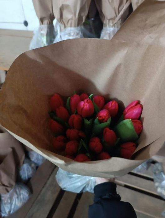 Тюльпаны с теплицы напрямую!