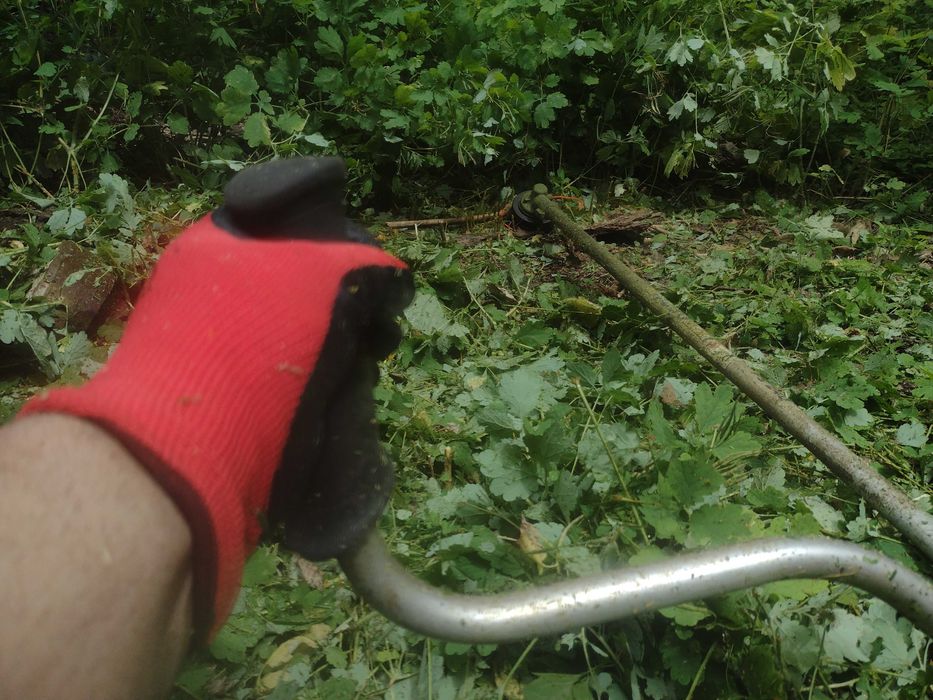 Почистване на дворове, косене на трева